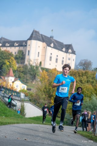 cc_lm2024_josefpils 176